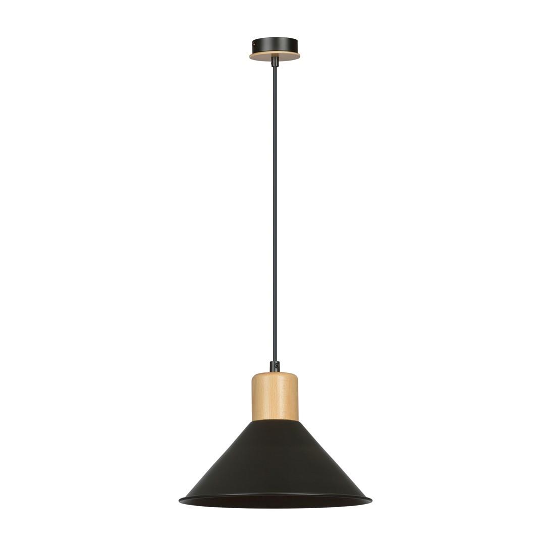 Industrialna lampa wiszca czarna ROWEN 1044/1
