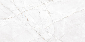 ROYAL VALENCIA SILVER GREY POLER 60X120, Połysk (PD-CE-VS-0002)