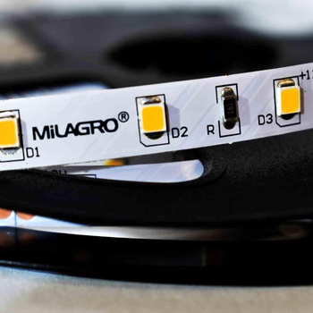 Taśma Led Premium 60/m 3000K IP20 5m