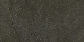 Shins grafito Prismacer 60x120 gat.I