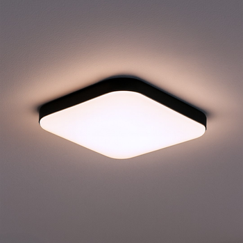 Plafon Nemo Czarny 11W LED